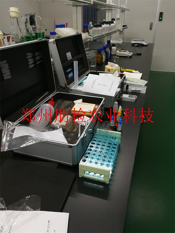 �B�T�͑�(sh��)�(y��n)��